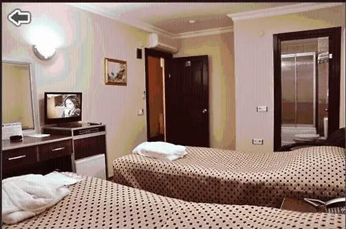 ***  Grand Lion Hotel İstanbul Türkiye